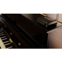 Pleyel Audio Système audio Pleyel Magistral - Vue 4